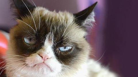 «Είμαι η μόνη που αντιπαθεί τις Απόκριες;» 