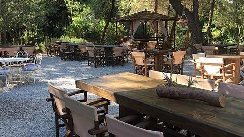 Οάσεις δροσιάς με καφέ για να πάτε με τα παιδιά