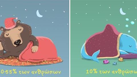 Αρκούδα, δελφίνι, λύκος και λιοντάρι: Τι χρονότυπος είσαι;