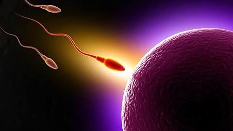 Είναι πιθανό να μείνω έγκυος σε μη γόνιμες μέρες, ακόμα και αν δεν εκσπερματίσει ο σύντροφός μου;