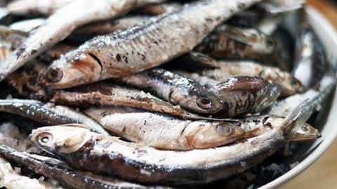 Πώς να φτιάξετε γαύρο παστό