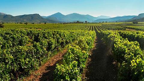 Κοντινοί προορισμοί για χριστουγεννιάτικες αποδράσεις 