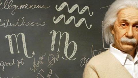 Αυτά είναι τα πιο έξυπνα ζώδια!