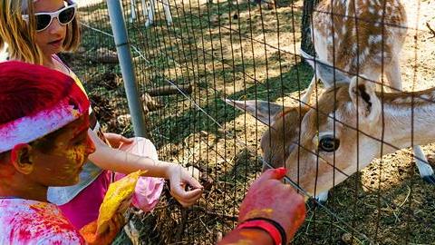 Κερδίστε 4 διπλές προσκλήσεις για το Colour Day Ranch στο Σοφικό Κορινθίας για τις 7/4