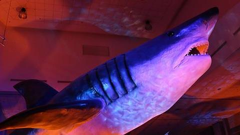 Κερδίστε 5 διπλές προσκλήσεις για την έκθεση «Δεινόσαυροι και τέρατα των θαλασσών» στις 18/5