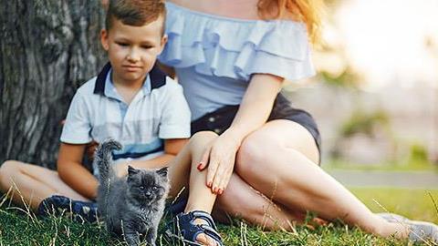 Ο 9χρονος γιος μου ζηλεύει το κατοικίδιο. Πώς μπορώ να το διαχειριστώ;