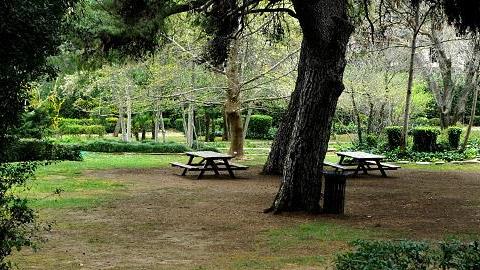 5 καλοκαιρινές οάσεις στην πόλη για μικρούς και μεγάλους!