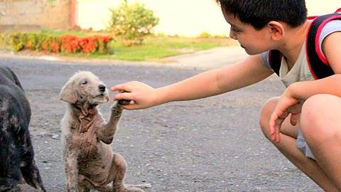 7 βιβλία που μαθαίνουν στα παιδιά να σέβονται και να προστατεύουν τα ζώα 