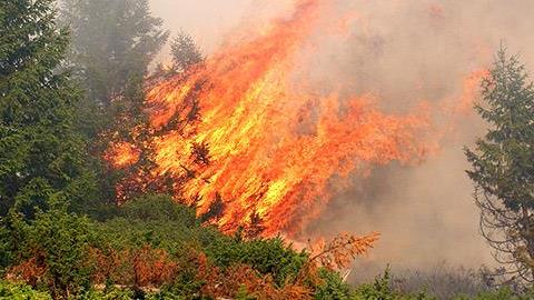 Τι πρέπει να κάνετε σε περίπτωση πυρκαγιάς