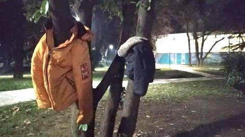 Έδεσσα: Στολίζουν δέντρα με μπουφάν για να μην είναι «κανείς μόνος στο κρύο!»
