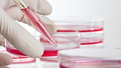 Όσα πρέπει να ξέρετε για την φύλαξη των βλαστοκυττάρων 