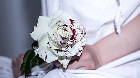 «Ένα τριαντάφυλλο δε συγχωρεί τη βία. Αν σε χτυπήσει, φύγε αμέσως!»