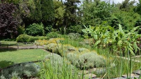 Καύσωνας το Σαββατοκύριακο: απίθανες βόλτες για να ξεσκάσετε ακίνδυνα 