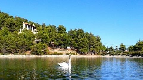 Μύρισε ήδη καλοκαίρι: 4 αποδράσεις με το παιδί για να παίξει με την ψυχή του!