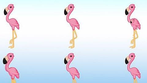 6 τεστ παρατηρητικότητας για όσους πιστεύουν ότι... δεν τους ξεφεύγει τίποτα!