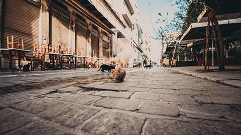 Καθηγητής Σαρηγιάννης: 21 μέρες lockdown, 14 ανοιχτά μέχρι να βγει το εμβόλιο