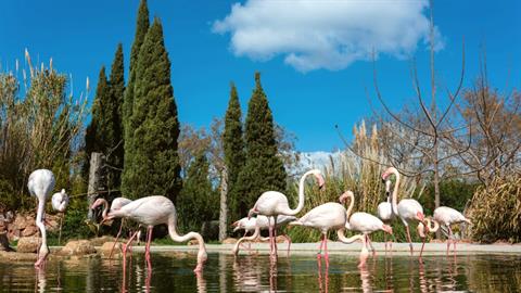 5 Κυριακάτικες βόλτες στην Αττική, μακριά απ’ τον Δήμο μας και χωρίς συνωστισμό