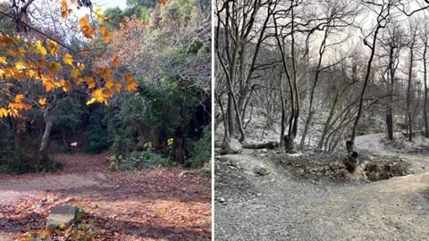 Θλίψη για την καμένη γη στο Τατόι εκεί που άλλοτε αντηχούσαν οι παιδικές φωνές