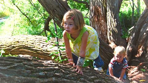 Υπάρχουν παιδικά χρόνια χωρίς δέντρα; Μαμά αναρωτιέται για το αύριο στα καμένα