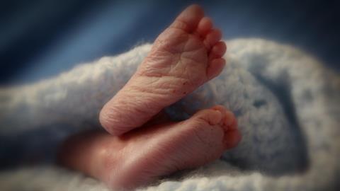 Προωράκι 28 εβδομάδων βρέθηκε παρατημένο σε χαρτόκουτο εν μέσω πολικού ψύχους!