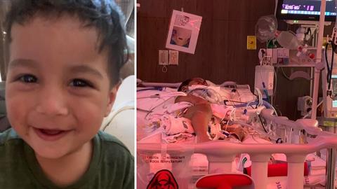 Σκύλος δάγκωσε αγοράκι 1 έτους στο πρόσωπο - νοσηλεύεται σε κρίσιμη κατάσταση