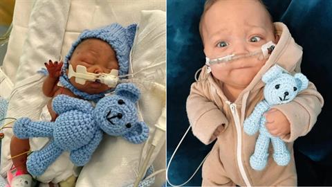 Προωράκι γεννήθηκε τόσο μικροσκοπικό όσο το… αρκουδάκι του!