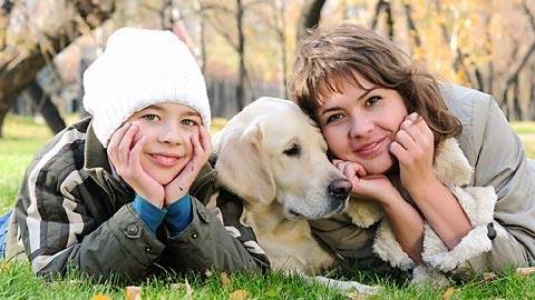 7 συμβουλές για να επιλέξετε το κατάλληλο κατοικίδιο