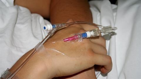 Αγωνία για 17χρονο στη Ναυπακτία - τον ποδοπάτησε αγέλη αλόγων!