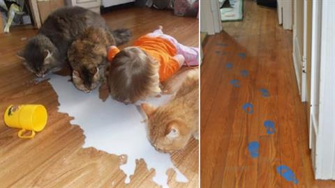 15 ξεκαρδιστικές φωτογραφίες που αποδεικνύουν πως στο σπίτι ζουν… παιδιά!