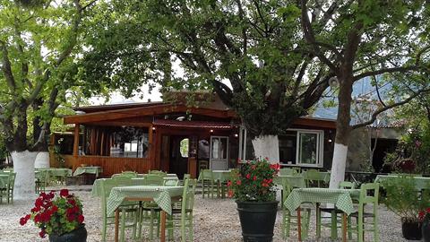 5 ταβερνάκια με καταπράσινη αυλή που θυμίζουν χωριό