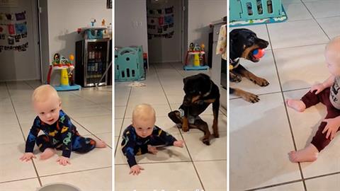 Το πιο συγκινητικό βίντεο: παράλυτο σκυλάκι μαθαίνει σε μωρό να μπουσουλάει