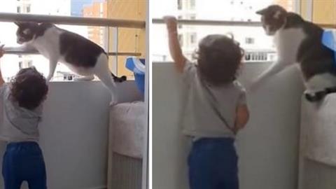 Γάτα προστατεύει νηπιάκι που προσπαθεί να σκαρφαλώσει στα κάγκελα του μπαλκονιού