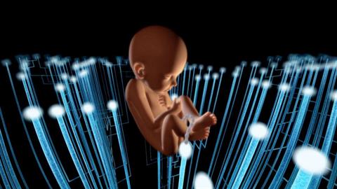 «Δαρβίνος: το μυστήριο της φύσης» από το Κέντρο Πολιτισμού «Ελληνικός Κόσμος»