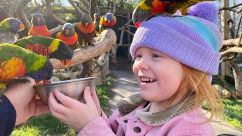 Τα πουλιά και το κελάηδημά τους κάνουν καλό στην ψυχική υγεία των παιδιών