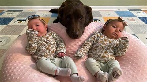 Πανέξυπνη σκυλίτσα βοηθάει μαμά να φροντίσει τα νεογέννητα διδυμάκια της!