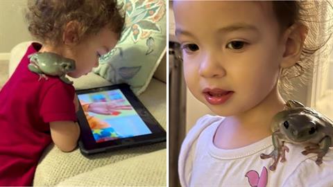 «Ο καλύτερος φίλος της 2χρονης κόρης μου είναι ένα βατραχάκι - κάνουν τα πάντα μαζί!»