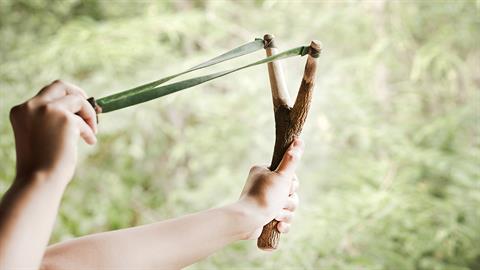 13χρονος έσωσε την 8χρονη αδερφή του από απαγωγή - σημάδεψε τον απαγωγέα με σφεντόνα!