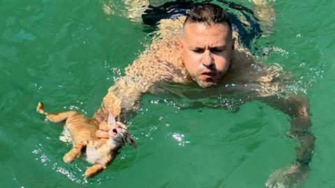 Μέλος πληρώματος πλοίου βούτηξε στα βαθιά και έσωσε γατάκι που πνιγόταν