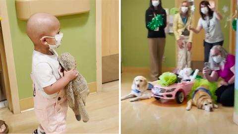 Γιατροί εμψύχωσαν μικρούλα με καρκίνο χαρίζοντάς της το δώρο των ονείρων της