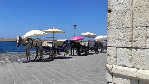 Χανιά: άλογα άμαξας περιμένουν τον... επόμενο πελάτη εν μέσω καύσωνα!