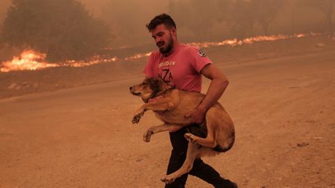 Φωτιά στην Πάρνηθα: κάτοικος σώζει ζώα από το πύρινο μέτωπο 