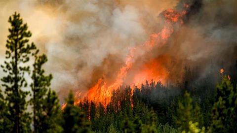 Φωτιές: πώς να προστατευτείτε από τον καπνό και τη στάχτη