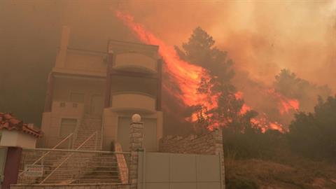 Φωτιά στη Φυλή: oι αγωνιώδεις στιγμές ενός εγγονού να σώσει τη γιαγιά του