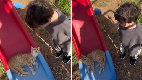 Ξεκαρδιστικός μπόμπιρας προσπαθεί να διώξει μια γάτα από την τσουλήθρα