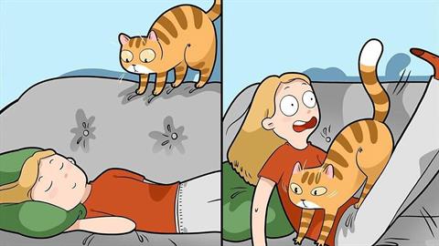 11 σκίτσα που μόνο όσοι έχουν γάτα θα καταλάβουν!