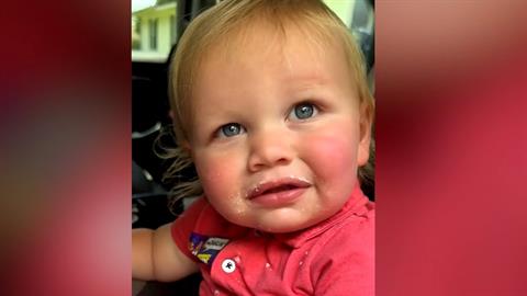 Μπόμπιρας πασαλειμμένος με άχνη ζάχαρη αρνείται κατηγορηματικά ότι έφαγε γλυκό!