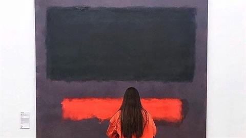 Απρόσεκτο παιδάκι κατέστρεψε κατά λάθος πίνακα αξίας 50 εκ. ευρώ σε μουσείο! 