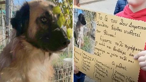 Ξάνθη: μαθητές δημοτικού υιοθέτησαν κακοποιημένο κουταβάκι και το έσωσαν!