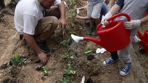 «Λαχανόκηποι στα σχολεία»: το νέο μάθημα που θα μπει από Σεπτέμβρη στα δημοτικά