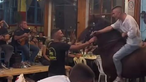 Γλέντι στη Λέσβο: χτυπούν άλογο για να «χορέψει» πάνω σε σπασμένα γυαλιά